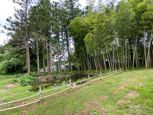 里山整備